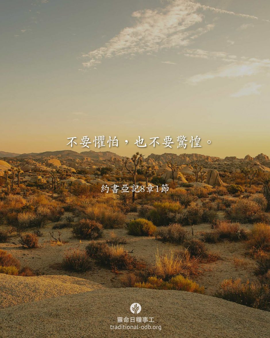 share_odb_2026-03-24 TC