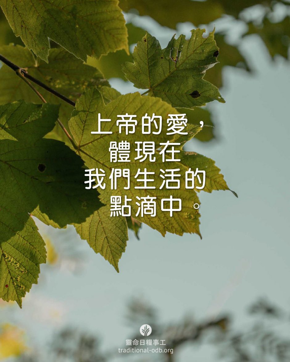 share_odb_2026-03-27 TC