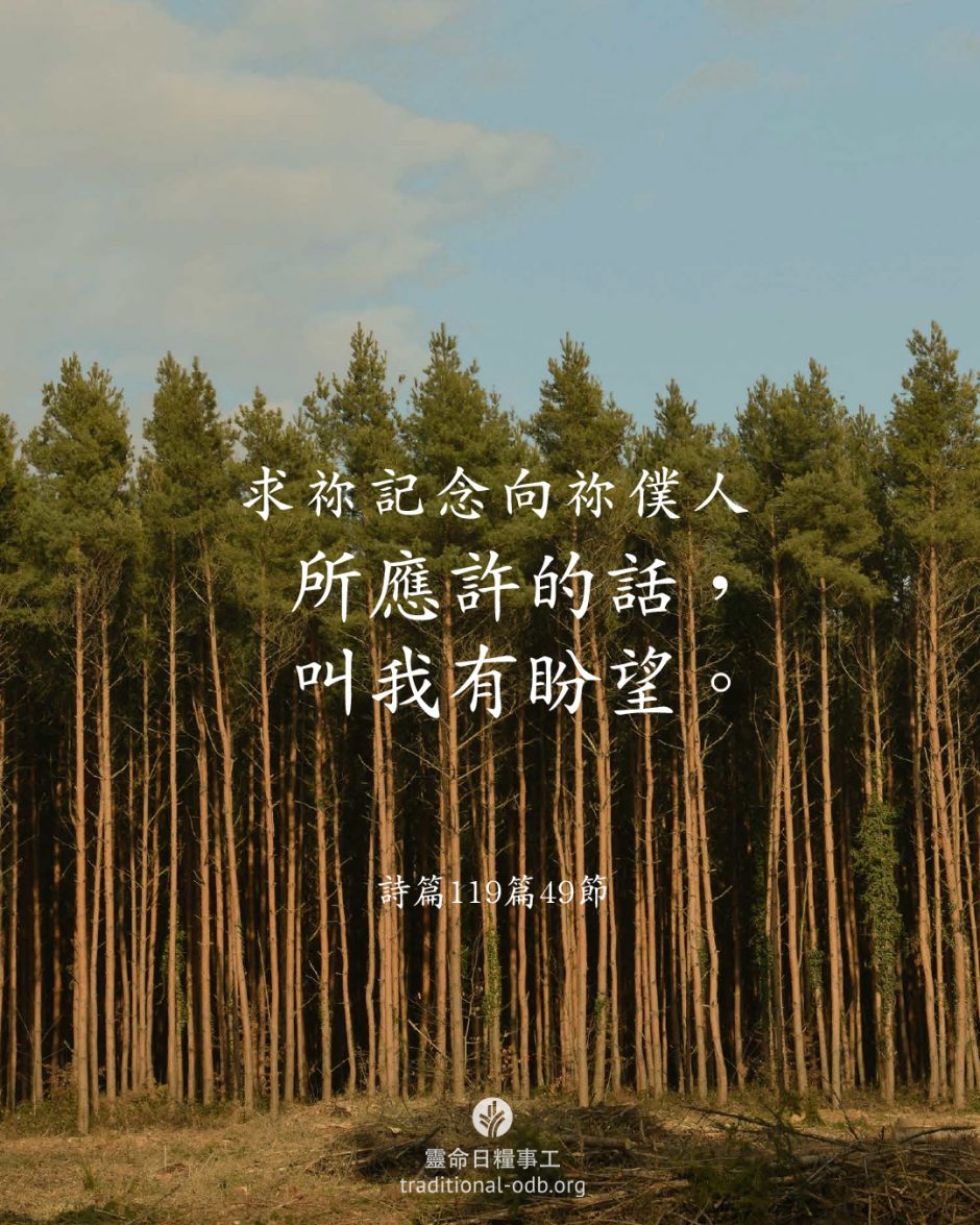 share_odb_2026-03-28 TC