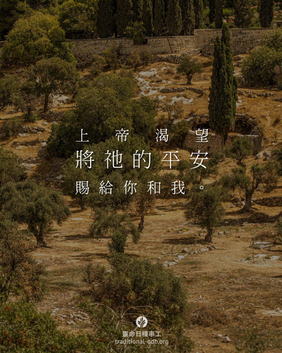 share_odb_2026-03-29 TC