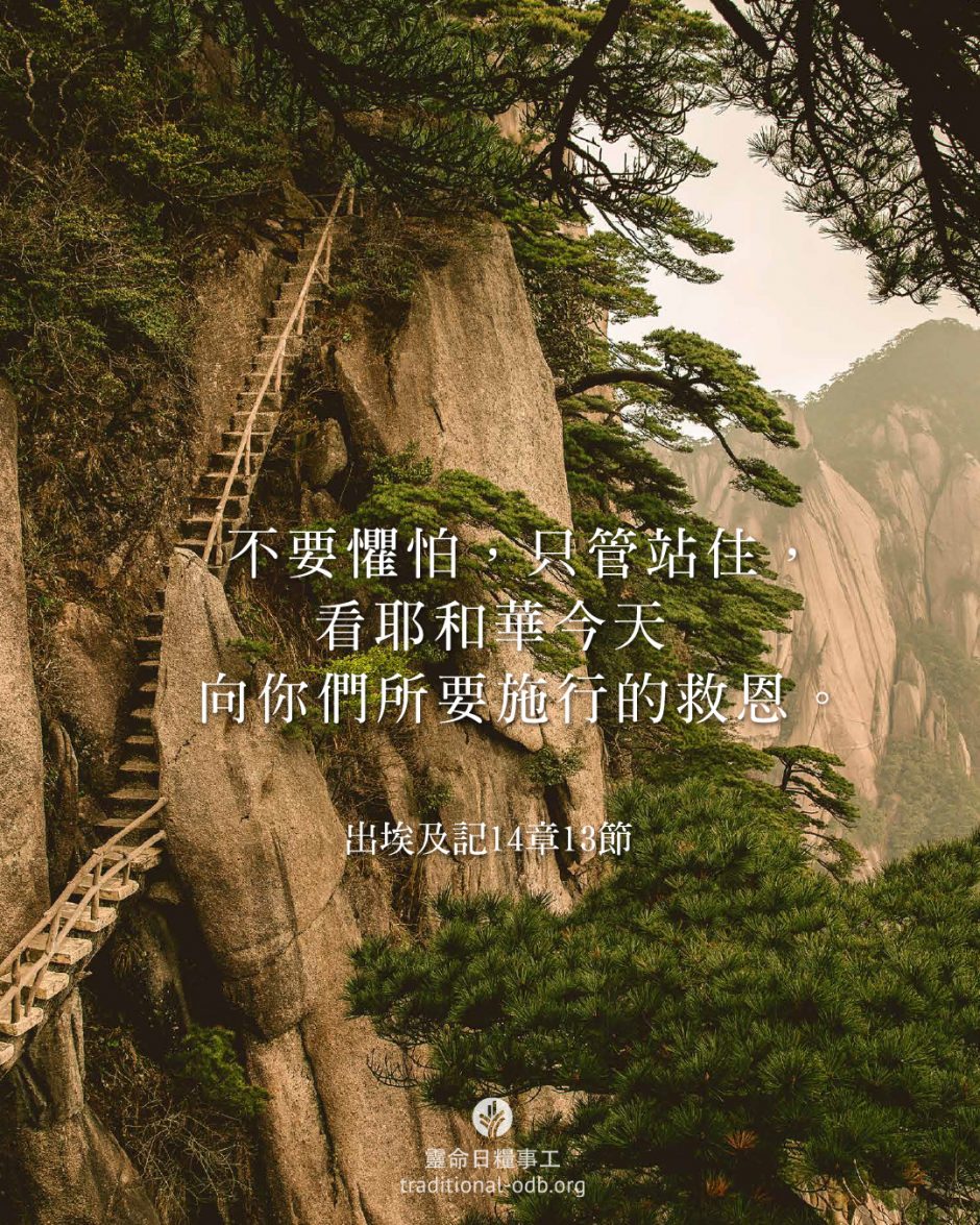 share_odb_2026-03-31 TC