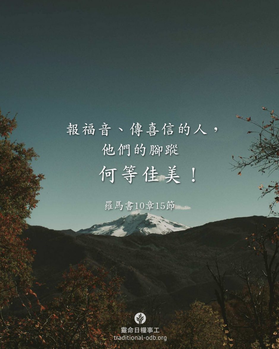 share_odb_2026-03-01 TC