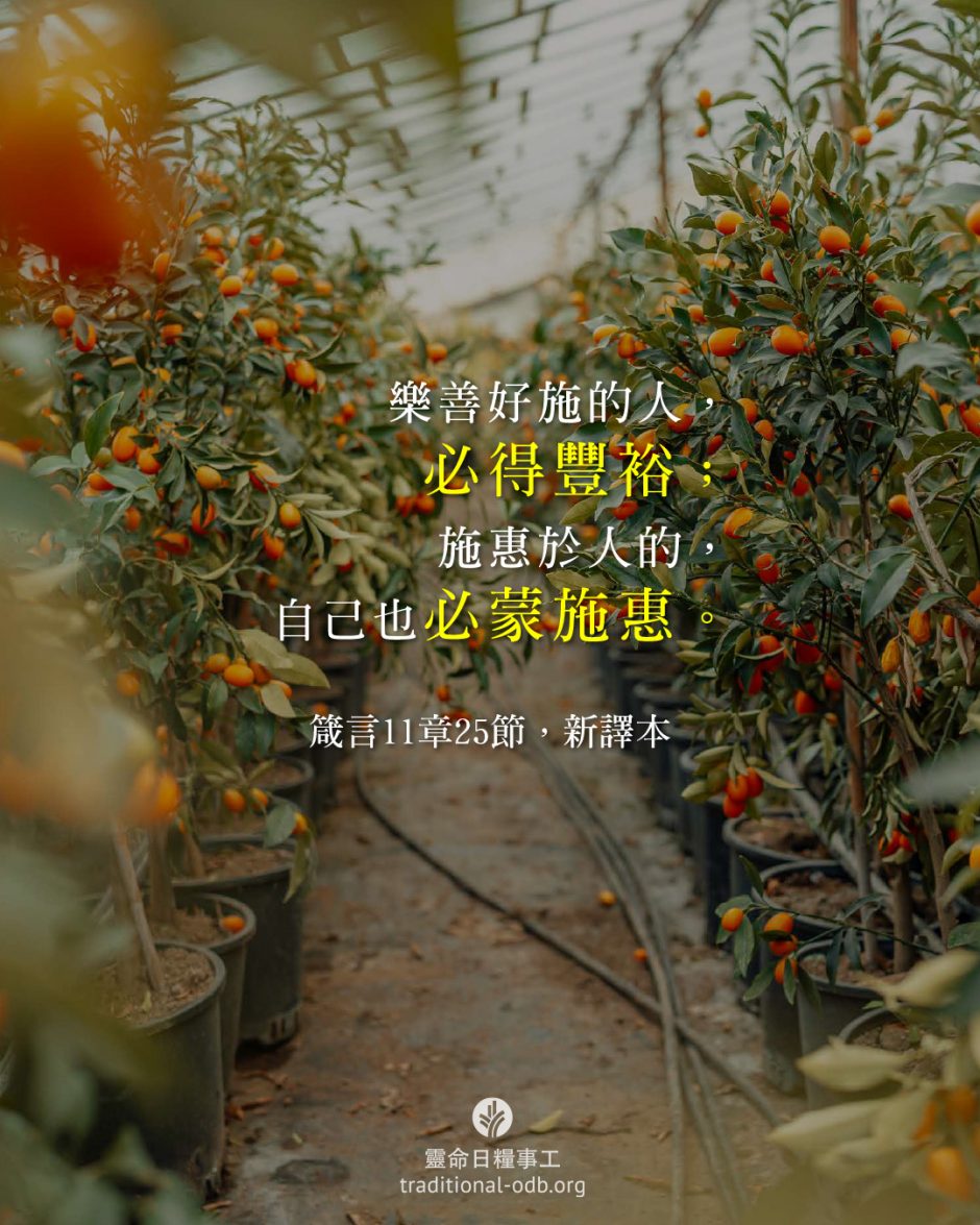 share_odb_2026-03-02 TC