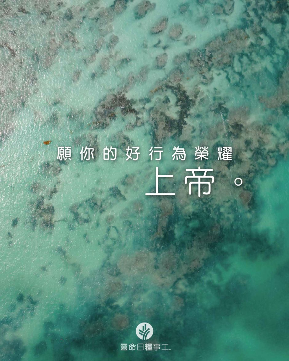 share_odb_2026-04-01 TC