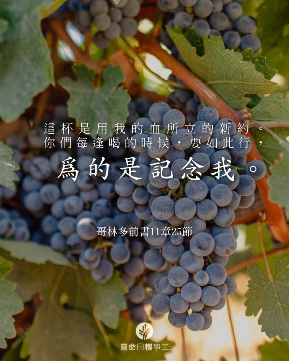 share_odb_2026-04-02 TC