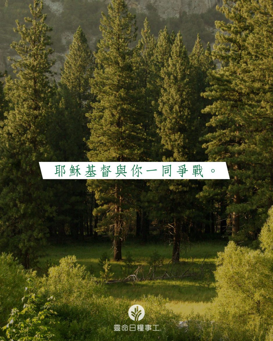 share_odb_2026-05-09 TC