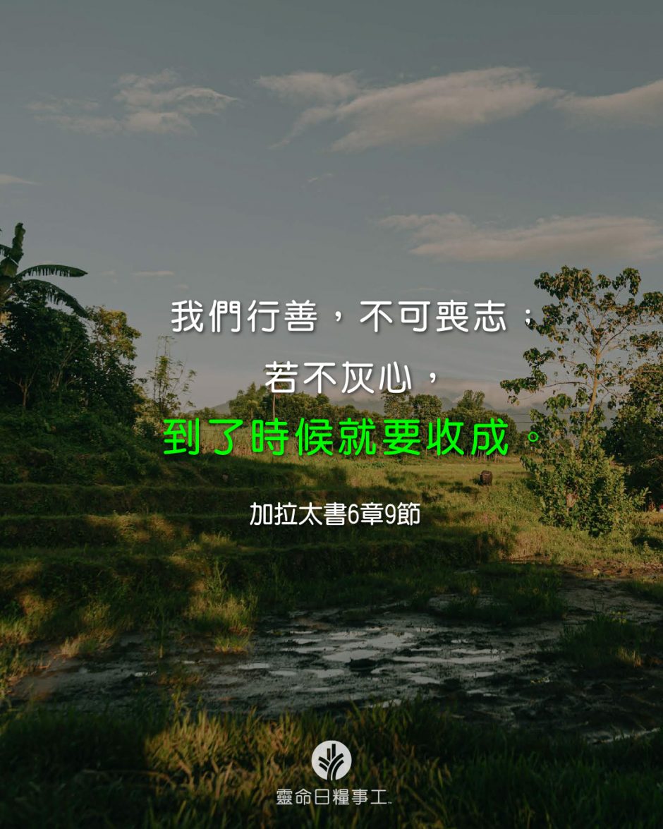 share_odb_2026-05-13 TC