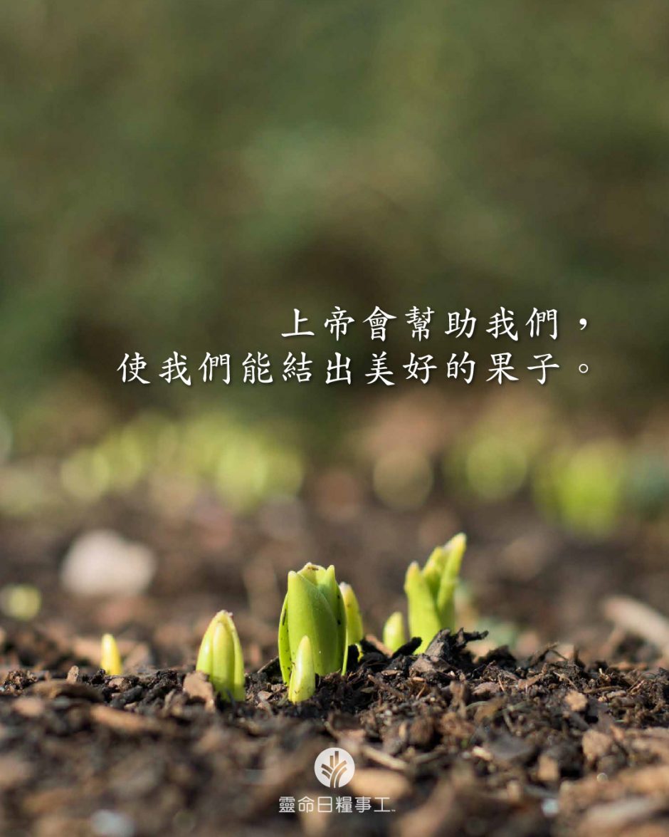 share_odb_2026-05-14 TC