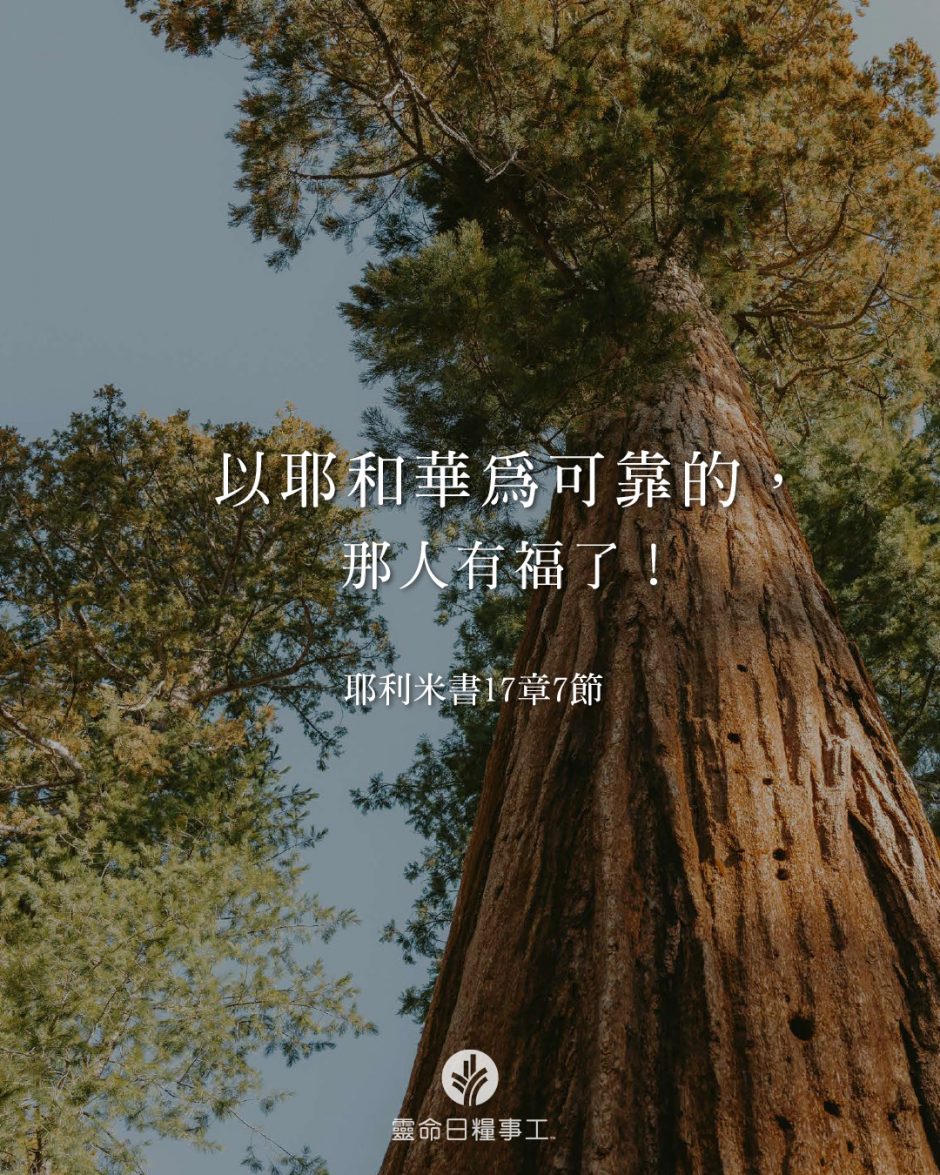 share_odb_2026-05-17 TC