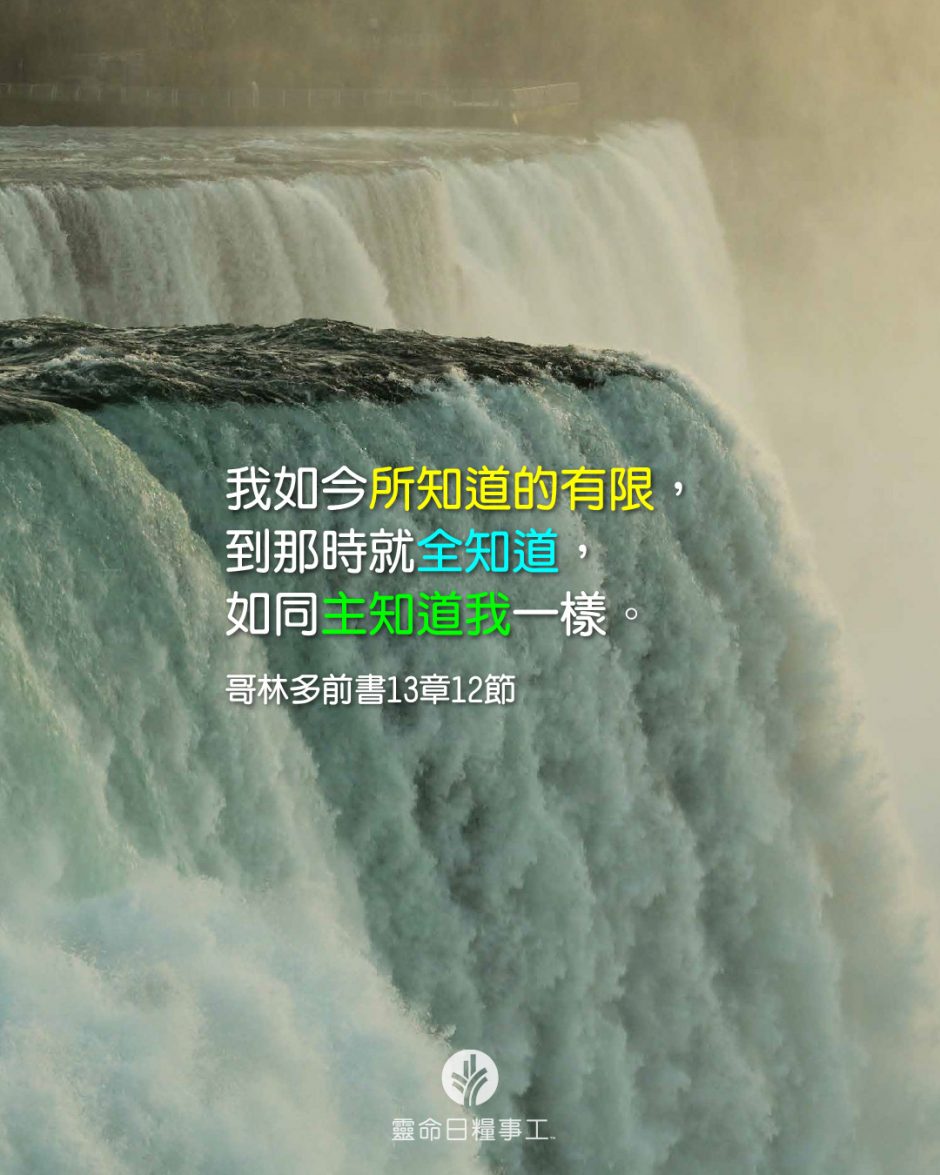 share_odb_2026-05-20 TC